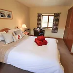 Wood View
