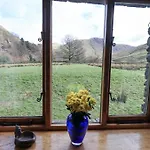 Wood View *